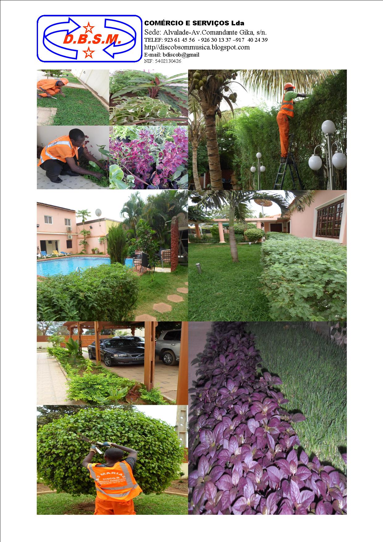 DBSM SERVIÇO DE JARDINAGEM